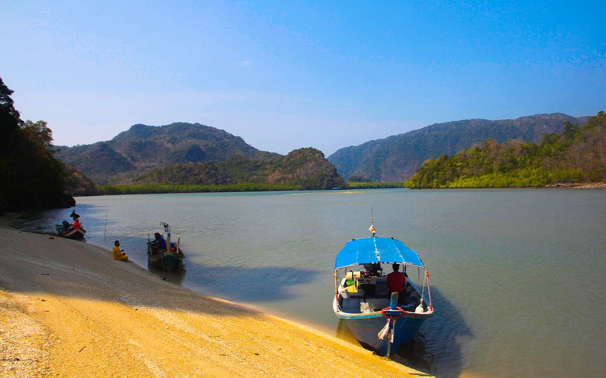 langkawi mangrove discovery adventure tour by cruise-7 langkawi mangrove discovery adventure tour by cruise-7