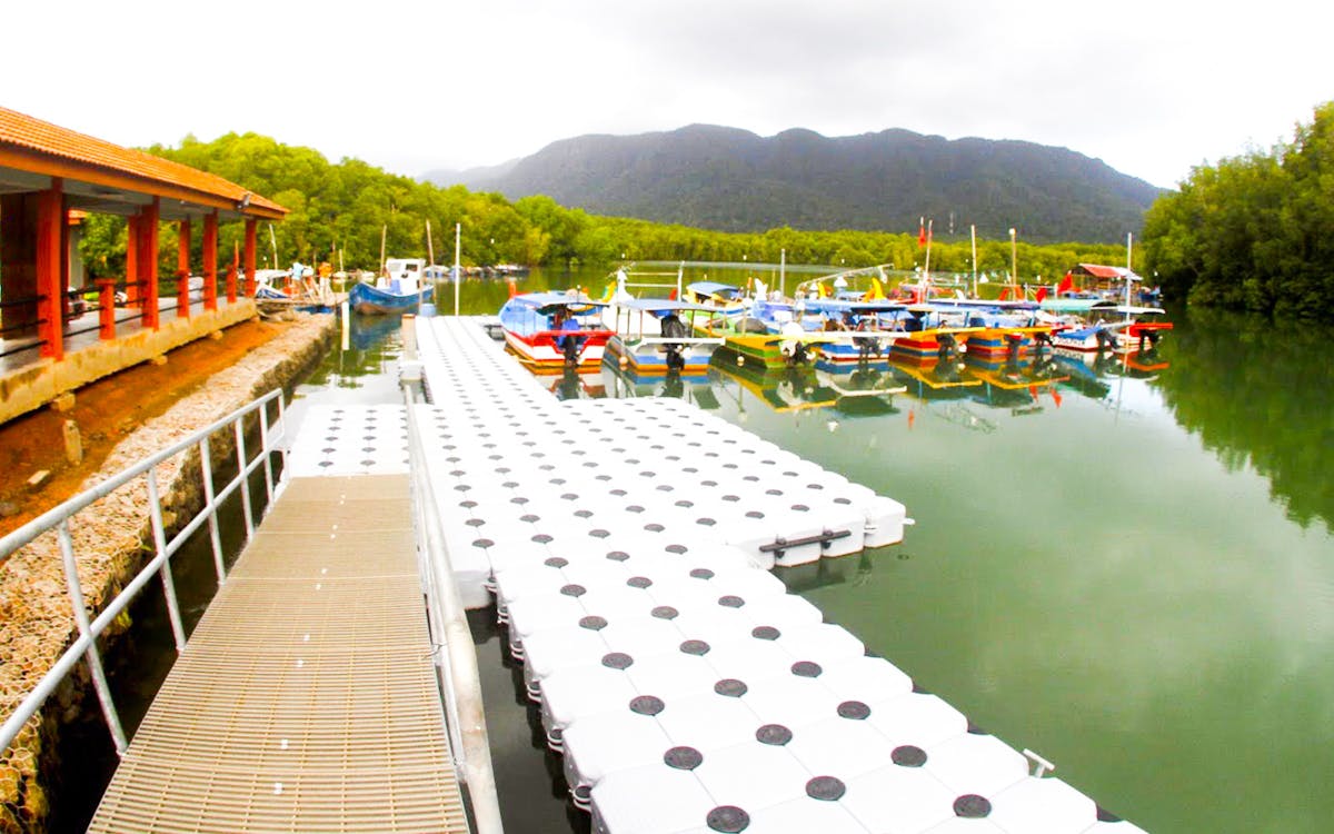 langkawi mangrove discovery adventure tour by cruise-13 langkawi mangrove discovery adventure tour by cruise-13