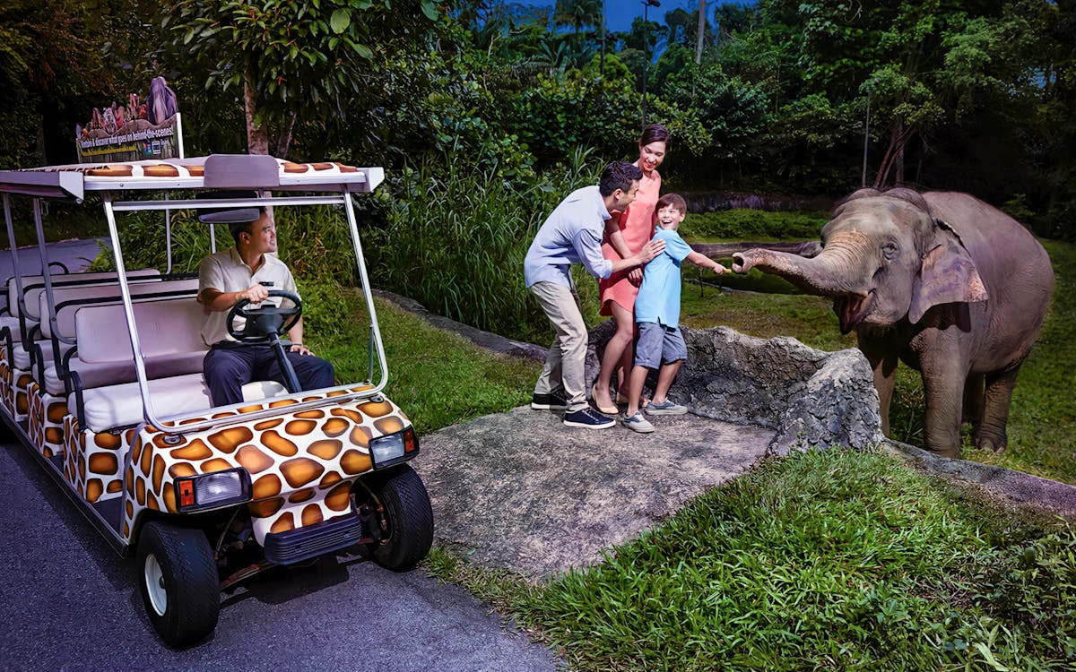 combo: night safari + river wonders tickets-5 combo: night safari + river wonders tickets-5