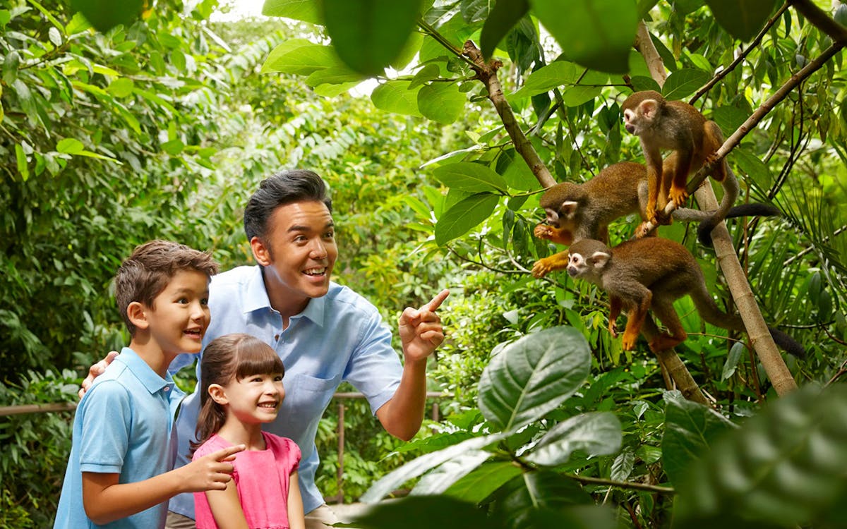 combo: night safari + river wonders tickets-4 combo: night safari + river wonders tickets-4