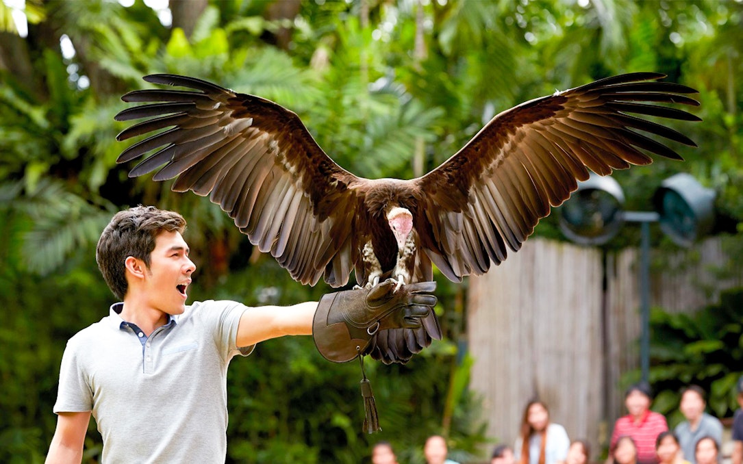 Man holding a bird of prey at Jurong Bird Park, Singapore.