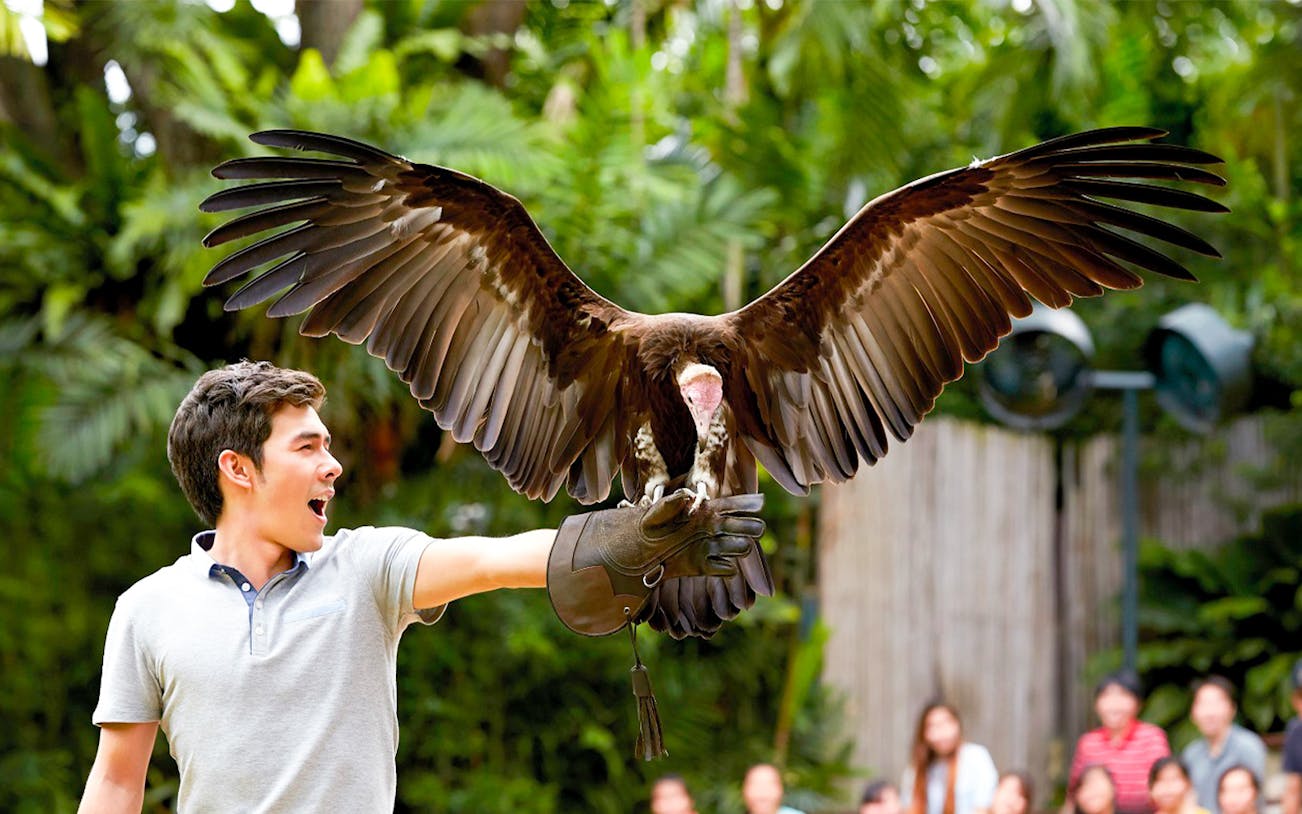 Man holding a bird of prey at Jurong Bird Park, Singapore.