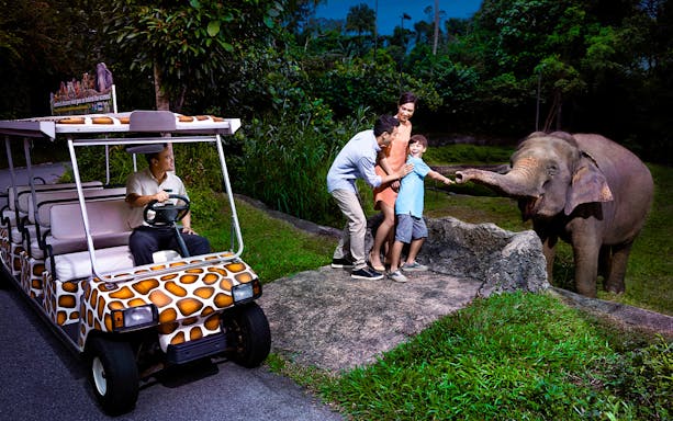 Family interacting with an elephant during Singapore Night Safari tour.