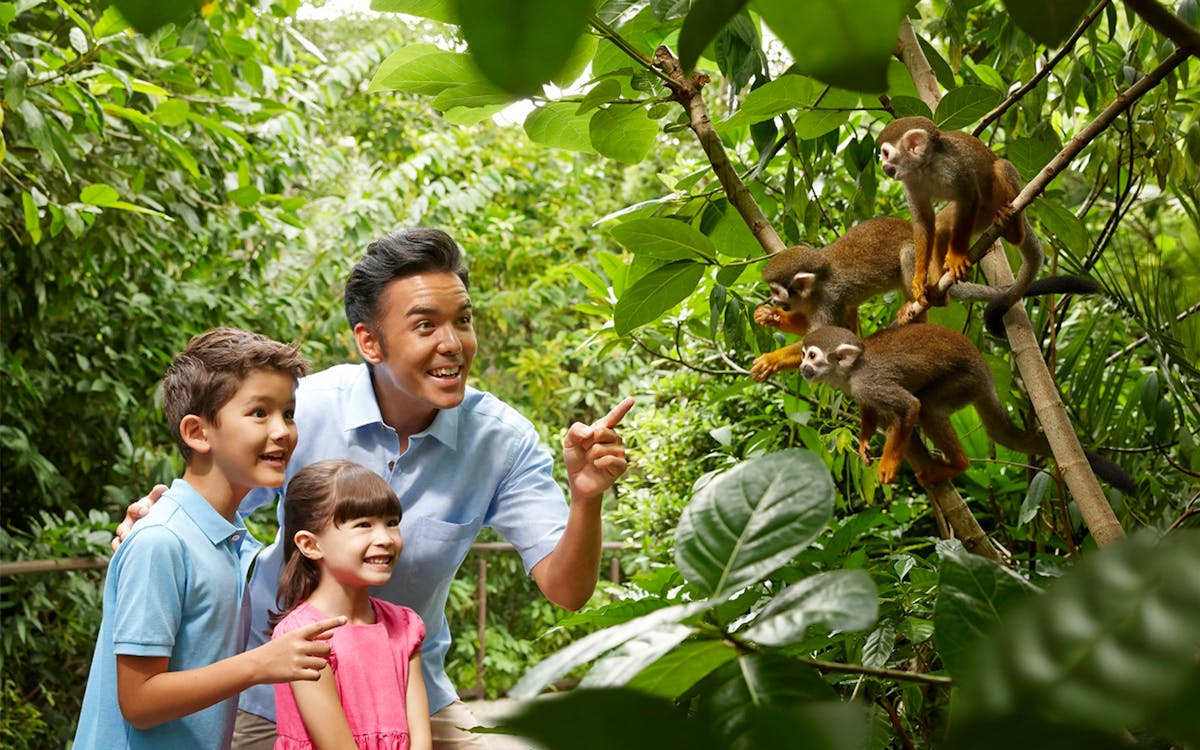 combo: river wonders + jurong bird park tickets-5 combo: river wonders + jurong bird park tickets-5