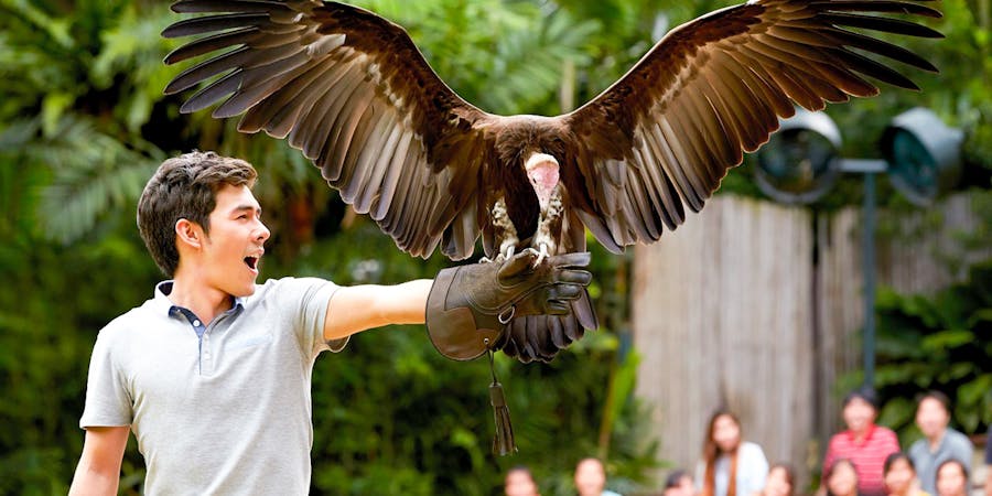 Singapore in January - jurong bird park
