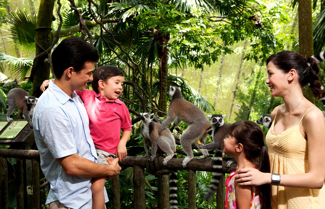 Mandai Wildlife Reserve - Singapore Zoo