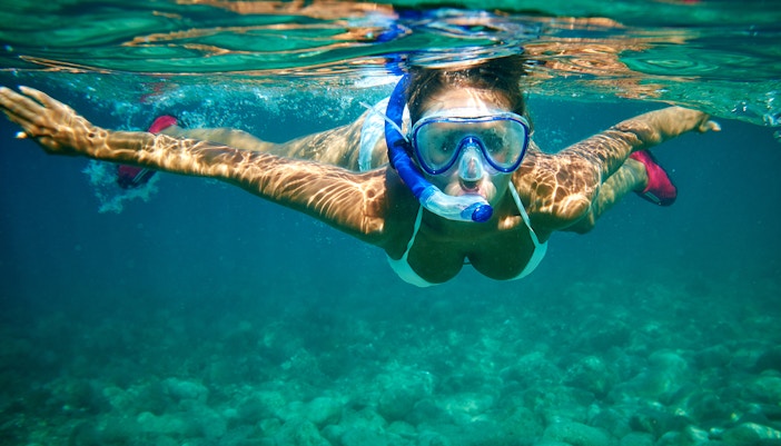 Lost Chambers Aquarium