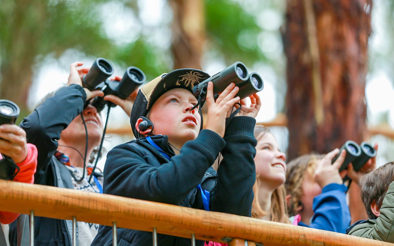 Group of people using binoculars on Walk with Wildlife Guided Tour at Wildlife Wonders.