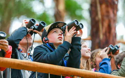 Group of people using binoculars on Walk with Wildlife Guided Tour at Wildlife Wonders.