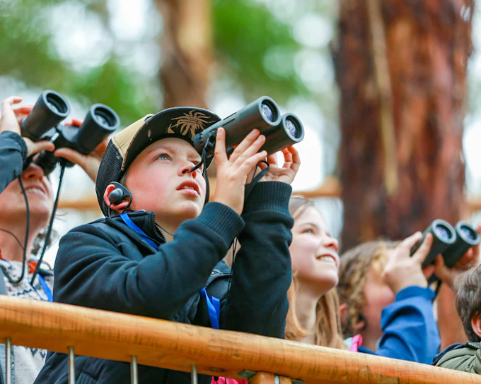 Walk with Wildlife Guided Tour at Wildlife Wonders