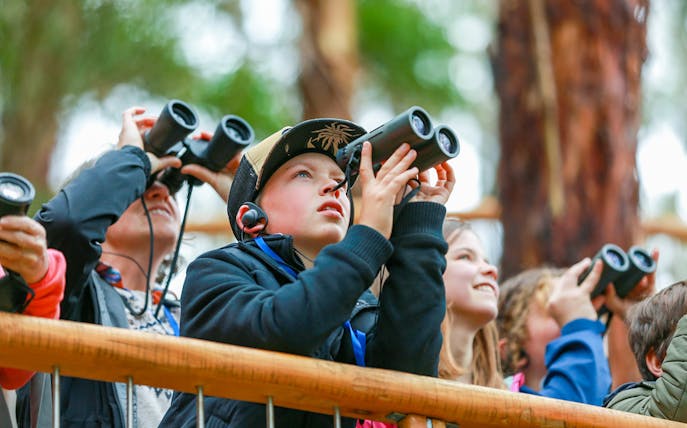 Group of people using binoculars on Walk with Wildlife Guided Tour at Wildlife Wonders.