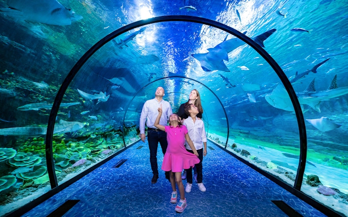 Family exploring underwater tunnel at National Aquarium Abu Dhabi with sharks and rays overhead.