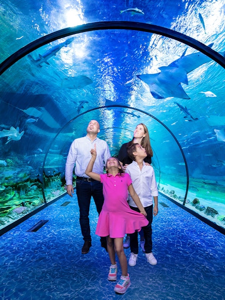 Family exploring underwater tunnel at National Aquarium Abu Dhabi with sharks and rays overhead.