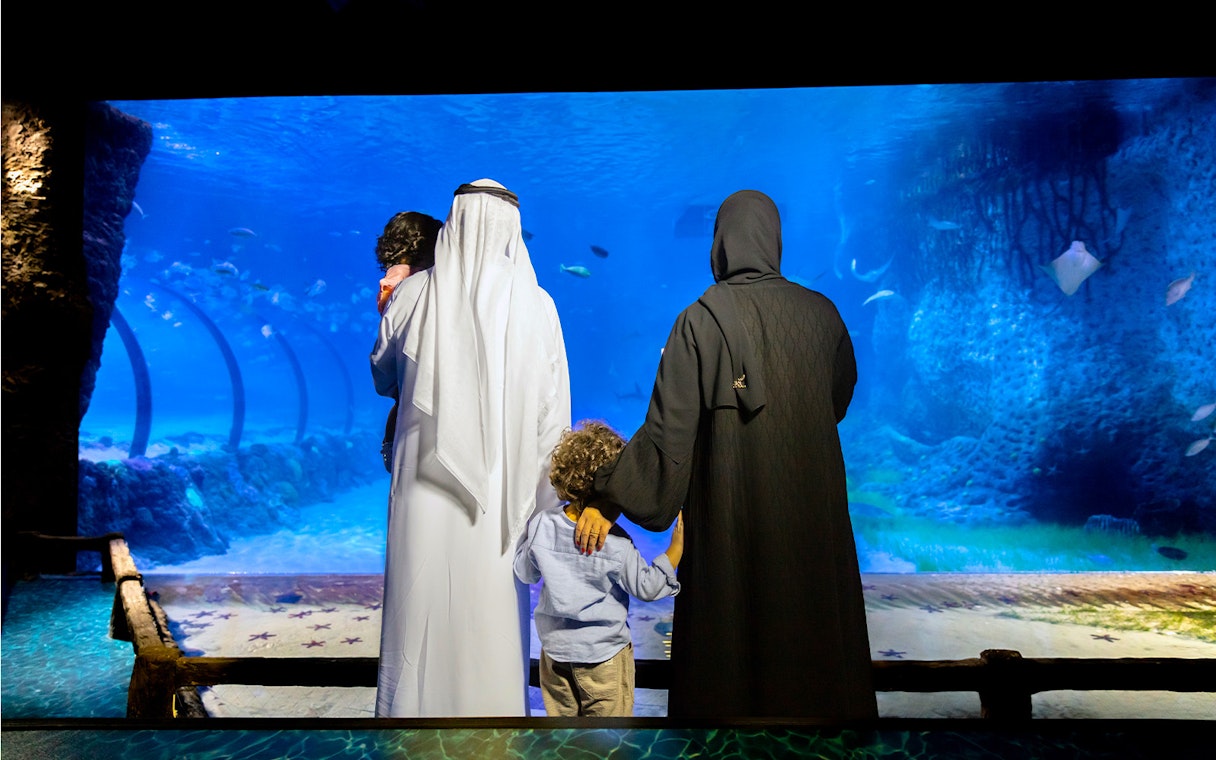 Family viewing marine life at National Aquarium Abu Dhabi.