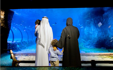 Family viewing marine life at National Aquarium Abu Dhabi.