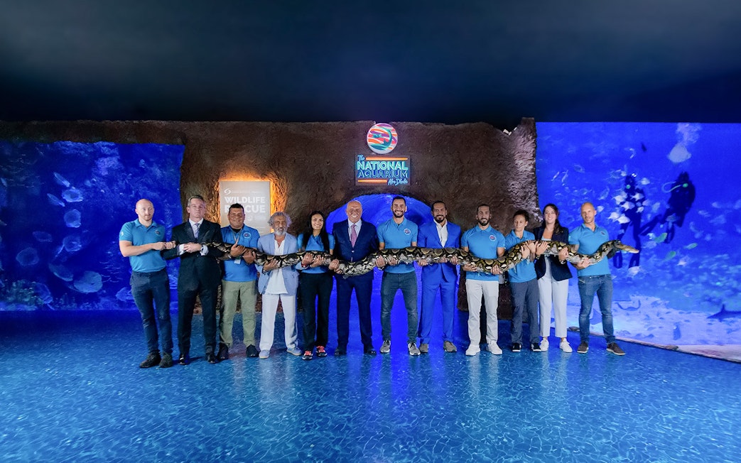 Group holding a large snake at National Aquarium Abu Dhabi.