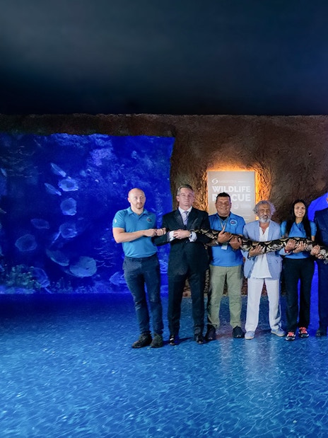 Group holding a large snake at National Aquarium Abu Dhabi.
