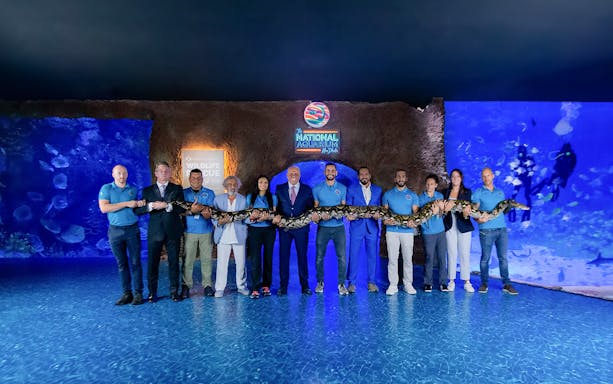 Group holding a large snake at National Aquarium Abu Dhabi.