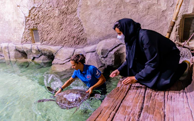 Caretaker interacting with a sea turtle at National Aquarium Abu Dhabi.