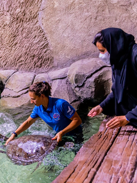 Caretaker interacting with a sea turtle at National Aquarium Abu Dhabi.