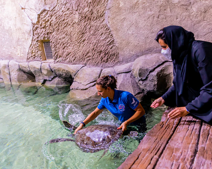 National Aquarium Abu Dhabi All Access Pass Tickets