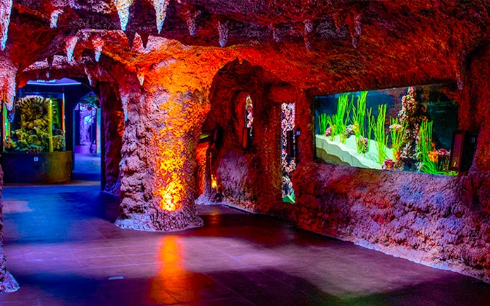 Rocky tunnel with vibrant aquarium displays at National Aquarium Abu Dhabi.