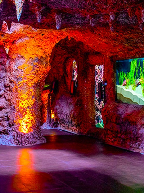 Rocky tunnel with vibrant aquarium displays at National Aquarium Abu Dhabi.