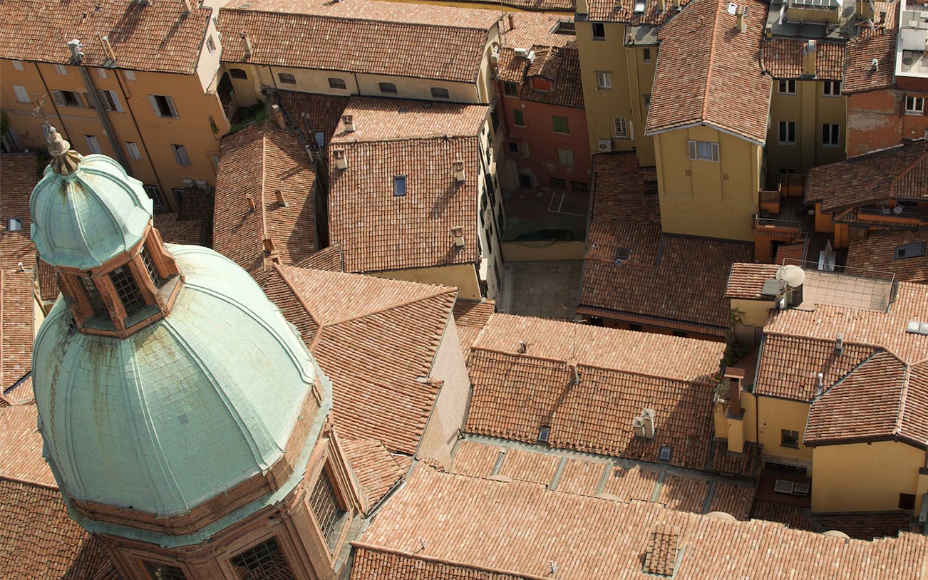 Aerial view of Bologna's historic rooftops and dome on a 2-hour walking tour.