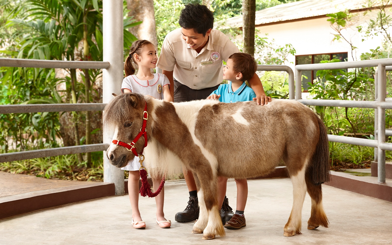 Children interacting with a pony at Singapore Zoo.