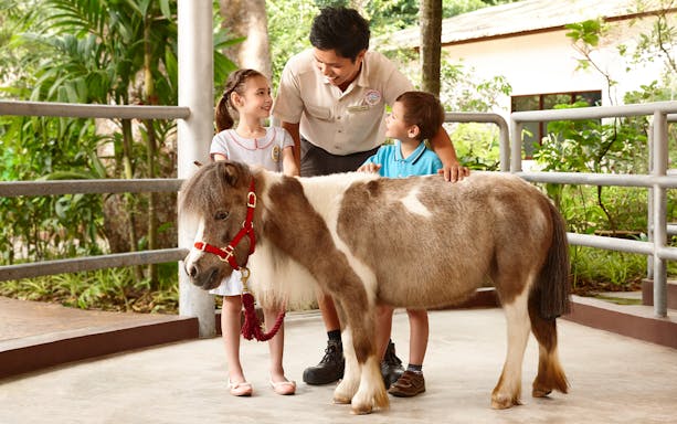 Children interacting with a pony at Singapore Zoo.