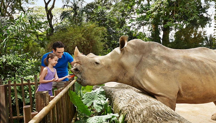 Plan Your Visit - Singapore zoo