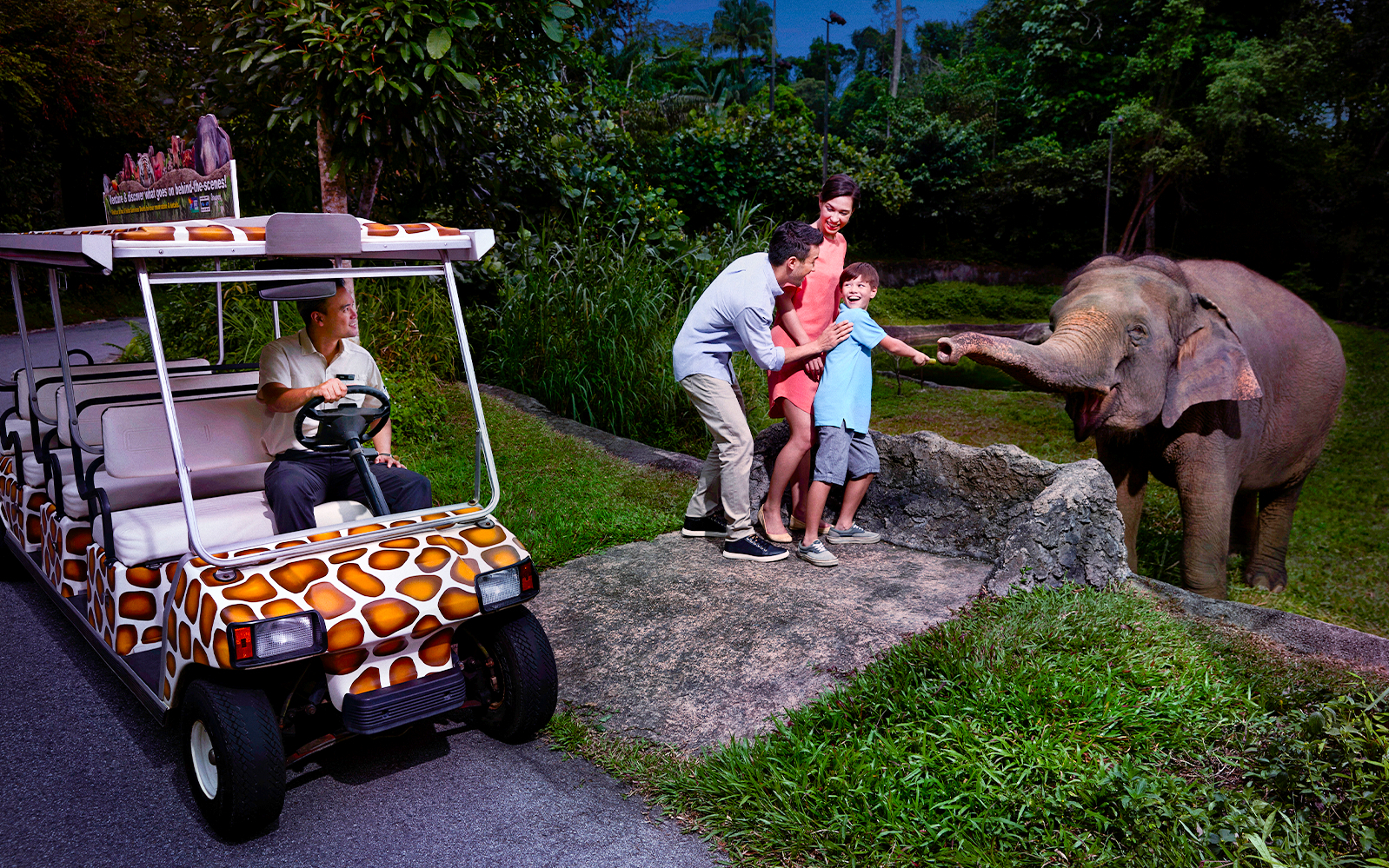 Family feeding elephant during Singapore Night Safari tram ride.
