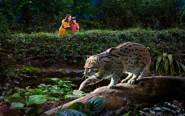 Family observing a fishing cat at Singapore Night Safari.