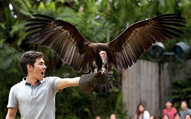 Man holding a vulture at Jurong Bird Park, Singapore.