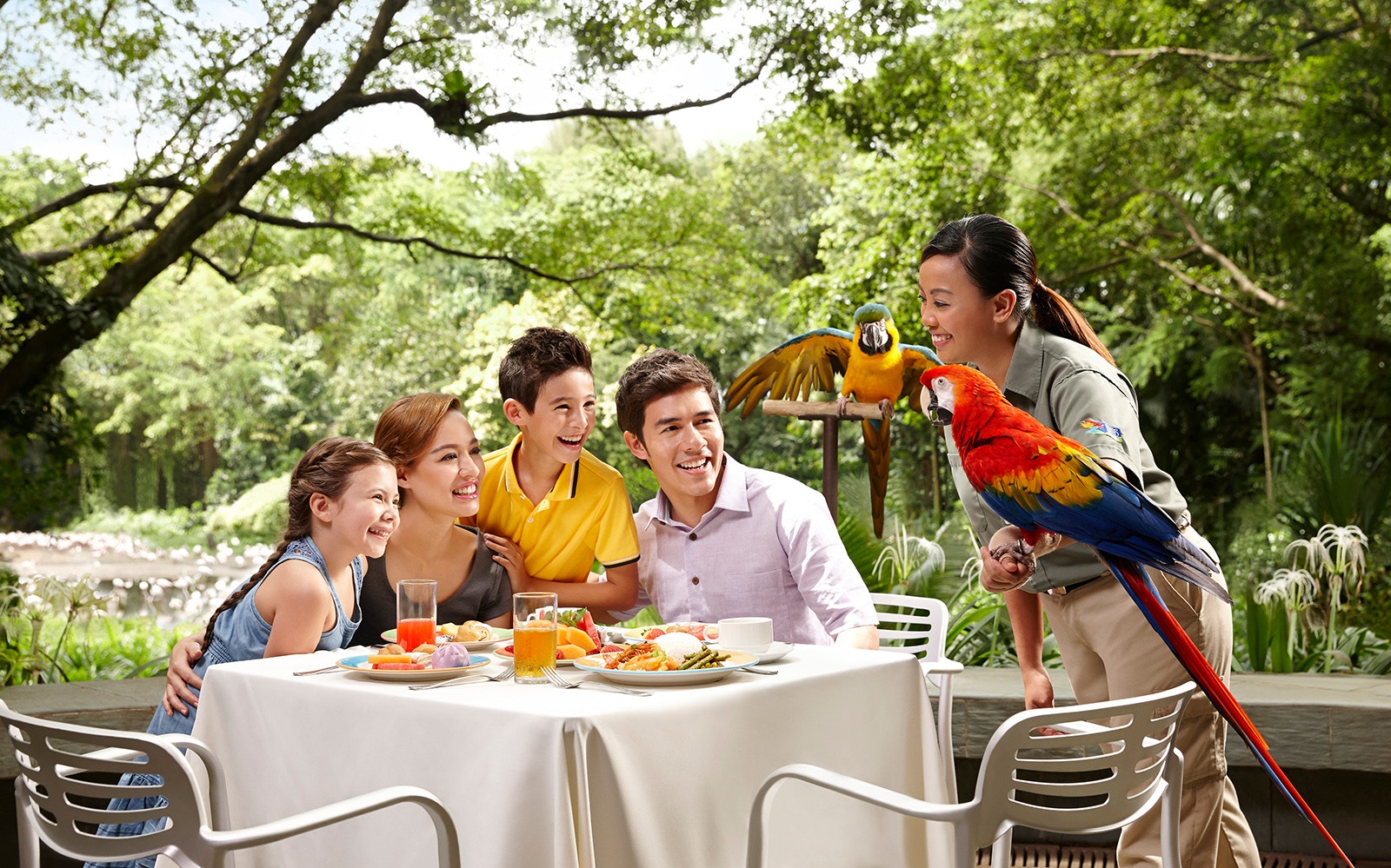 Family dining with colorful parrots