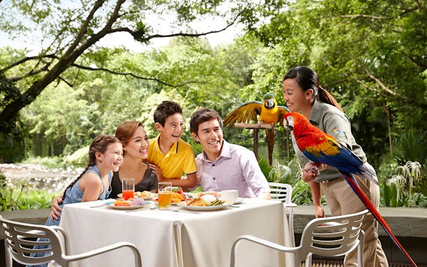 Family dining with colorful parrots at Jurong Bird Park, Singapore.
