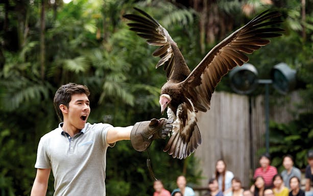 Man holding a bird of prey at Jurong Bird Park, Singapore.