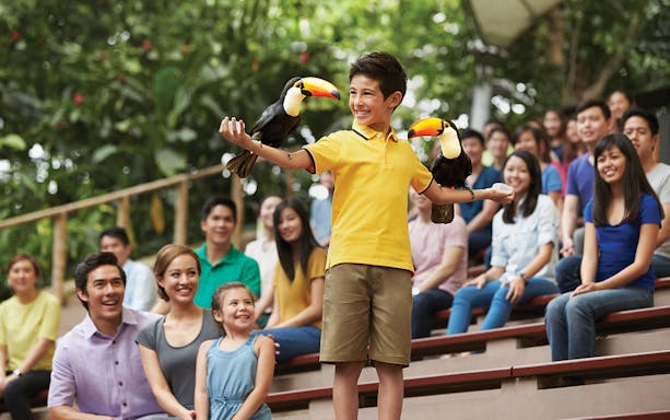 Boy holding toucans at Jurong Bird Park show, Singapore.