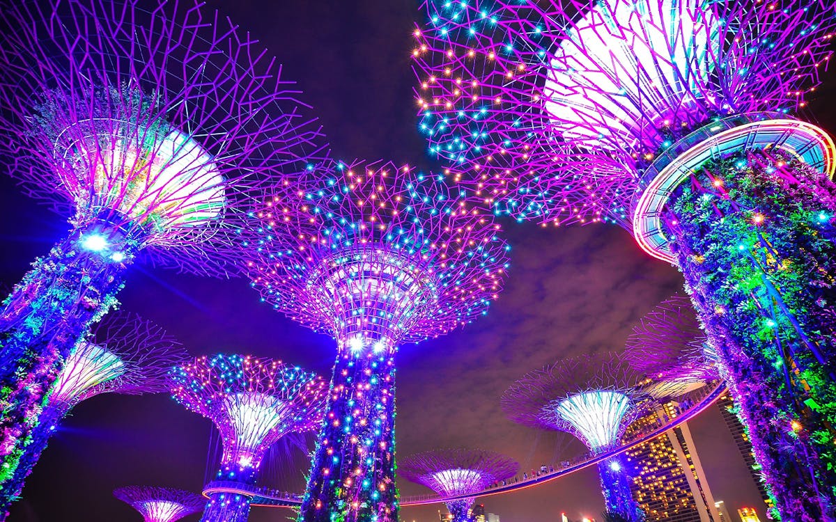 gardens by the bay tickets combo-6 gardens by the bay tickets combo-6