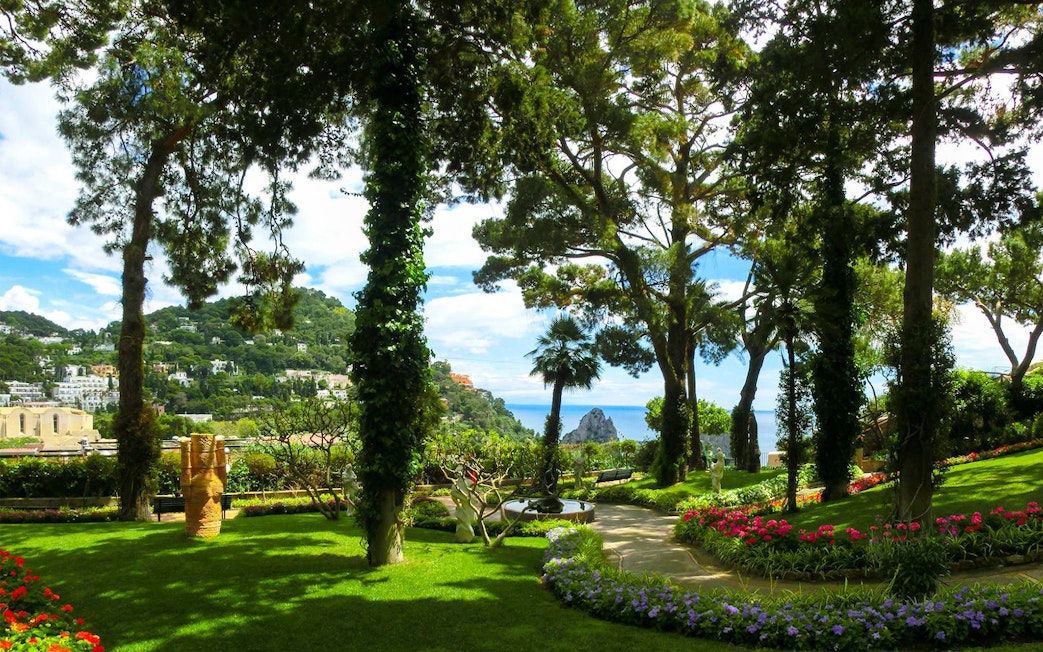 Capri Island garden view with lush greenery and sea in the background.