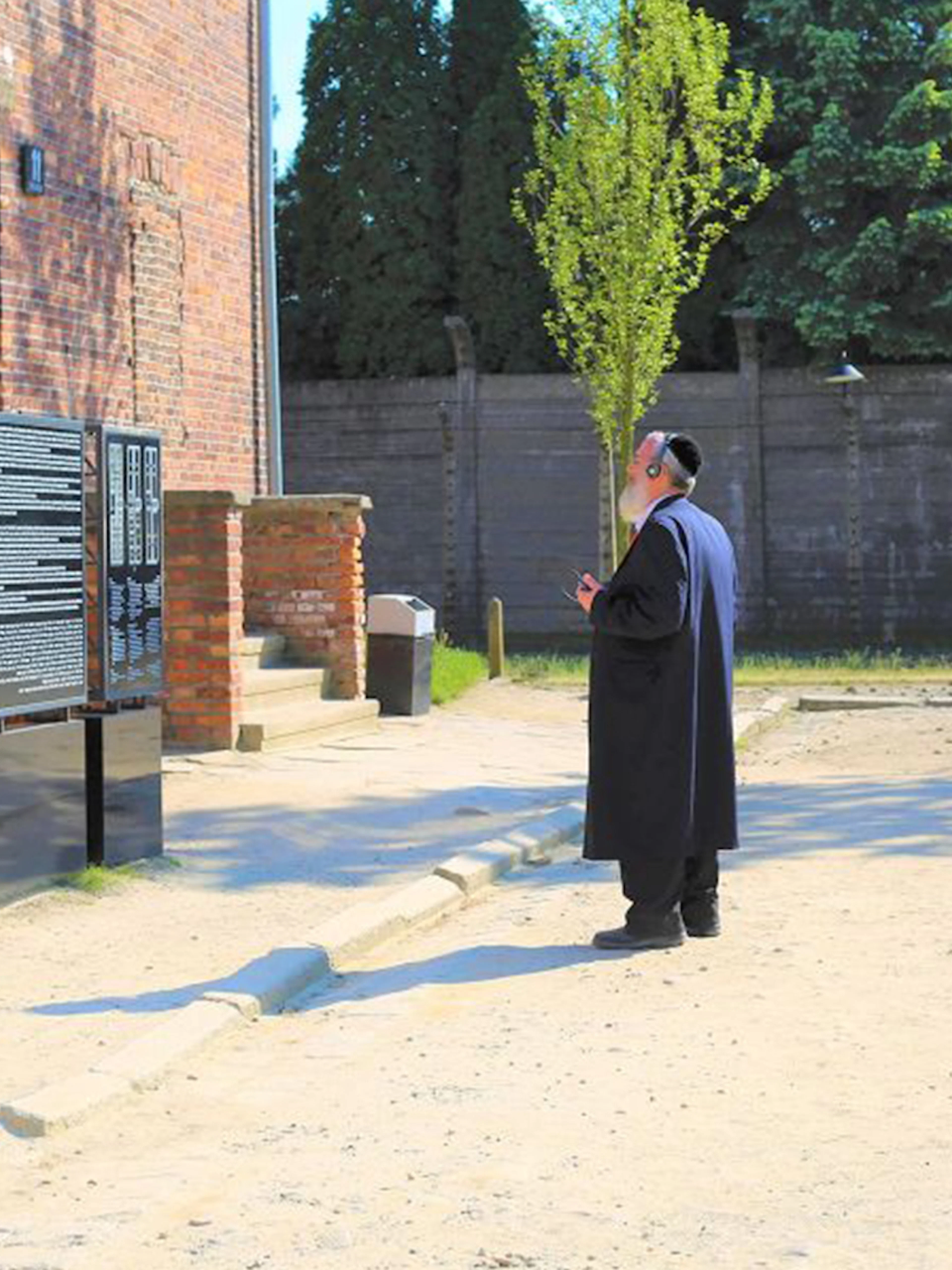 Visitor with headphones at Auschwitz-Birkenau Museum entrance, examining informational display.