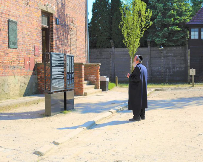 Fast-Track Entry Pass & Tour: Auschwitz-Birkenau Museum