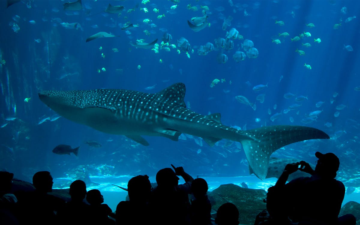 Singapore Indoor Activities