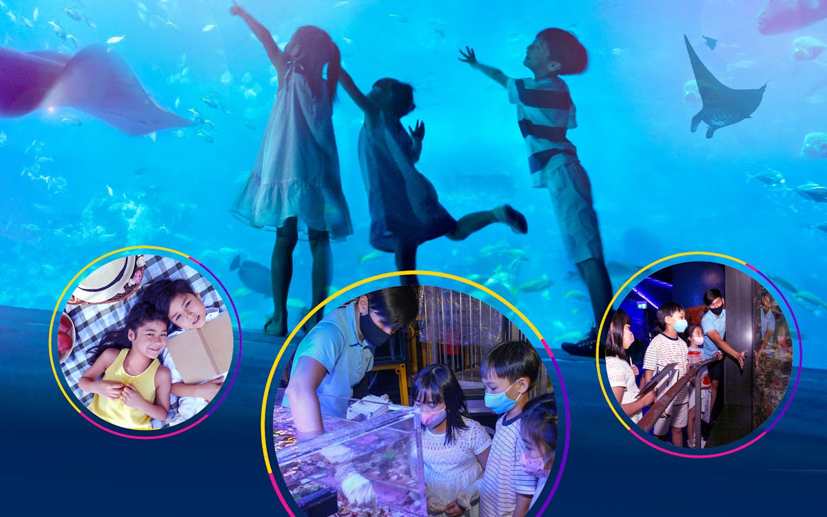 entry tickets to s.e.a. aquarium™ junior ocean protector camp with lunch-3 entry tickets to s.e.a. aquarium™ junior ocean protector camp with lunch-3