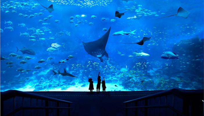 Sentosa FUN Pass - S.E.A Aquarium