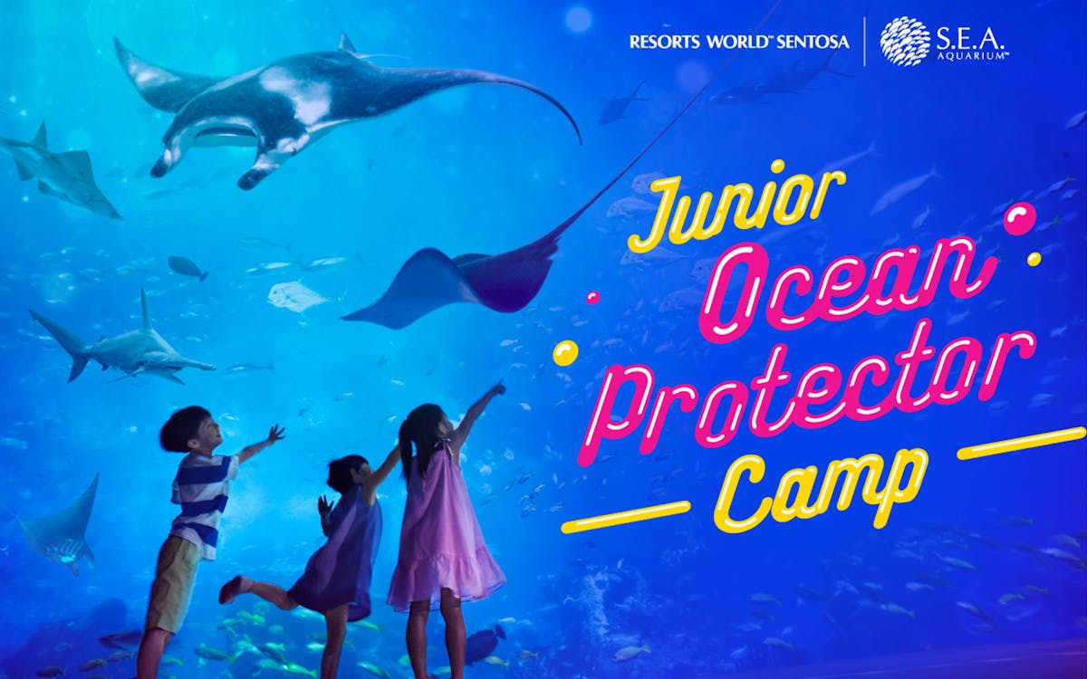 entry tickets to s.e.a. aquarium™ junior ocean protector camp with lunch-2 entry tickets to s.e.a. aquarium™ junior ocean protector camp with lunch-2
