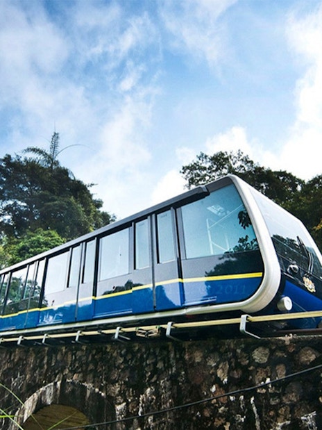Funicular train ascending Penang Hill amidst lush greenery.