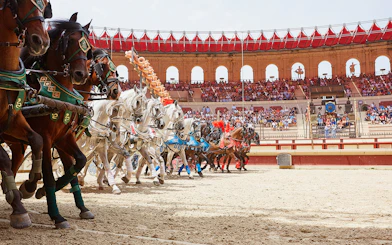 Horses in a Puy du Fou arena during a Viking-themed show.