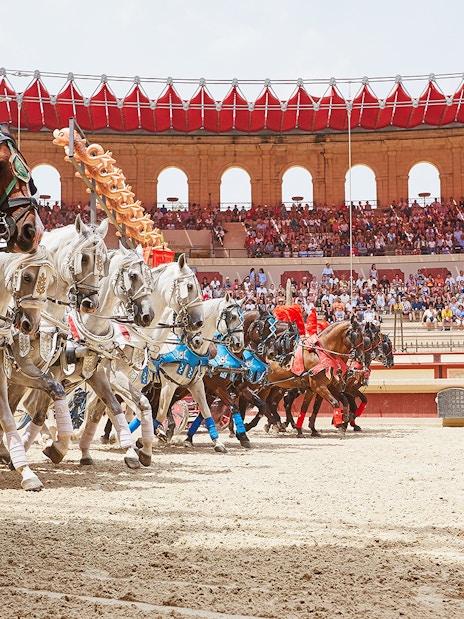Horses in a Puy du Fou arena during a Viking-themed show.