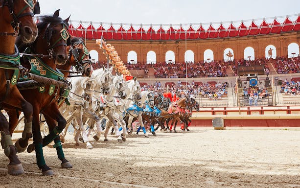 Horses in a Puy du Fou arena during a Viking-themed show.